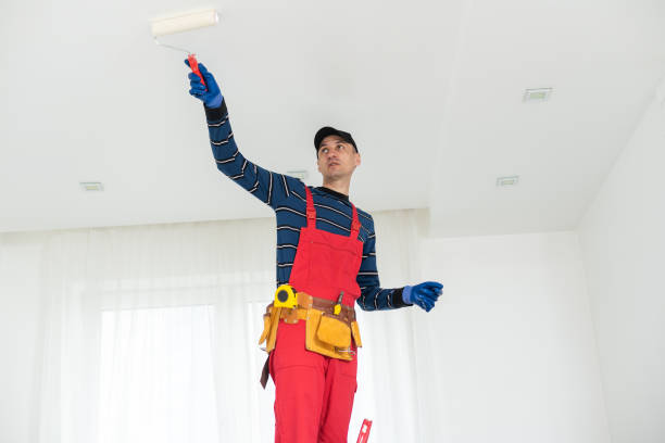 Best Water-Damaged Drywall Repair  in Destrehan, LA